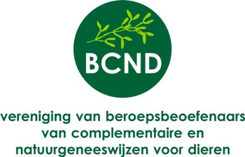 Logo BCND